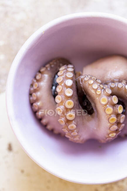 Close-up tiro de cru Octopus na tigela — Fotografia de Stock