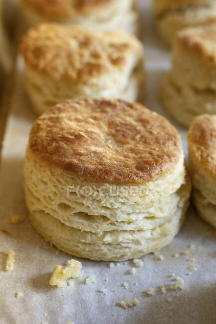 Southern biscuits on baking paper — Stock Photo