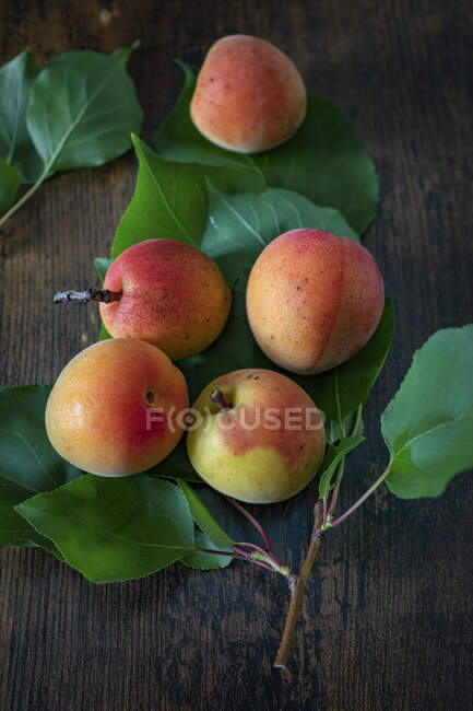 Fresh apricots with green leaves on wooden surface — Stock Photo