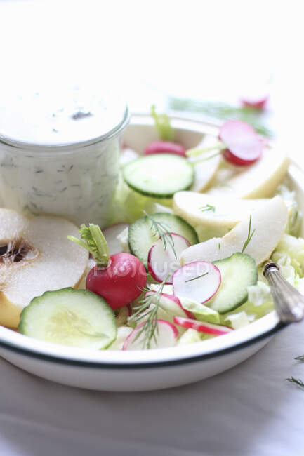 Insalata di verdure con condimento di mele e yogurt — Foto stock