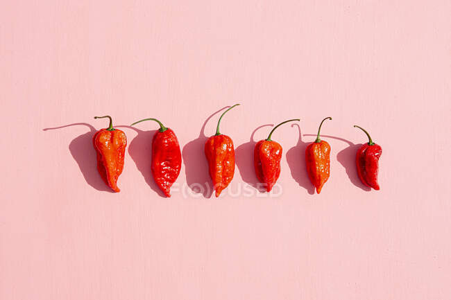 Sechs frische rote Chilischoten auf rosa Oberfläche — Stockfoto