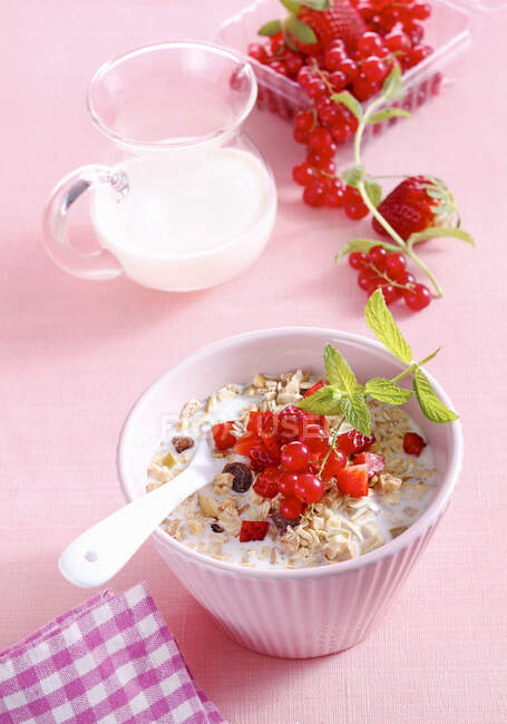 Bircher muesli with oats, red berries and milk — Stock Photo