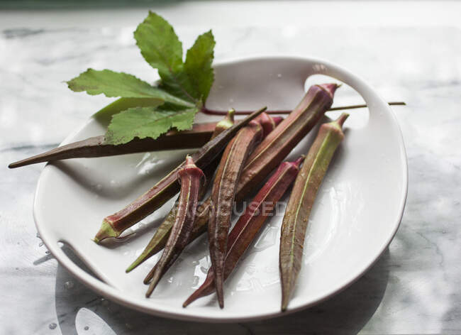 Red okra in white bowl — Foto stock