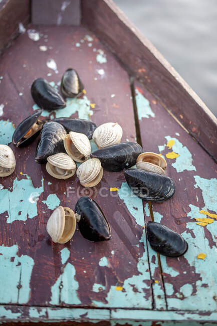 Palourdes et moules crues sur le bateau — Photo de stock