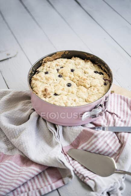 Blueberry crumble cake in a pink baking pan — Stock Photo
