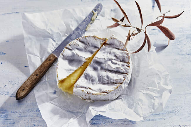 Pane fatto in casa con formaggio e noci su sfondo bianco — Foto stock