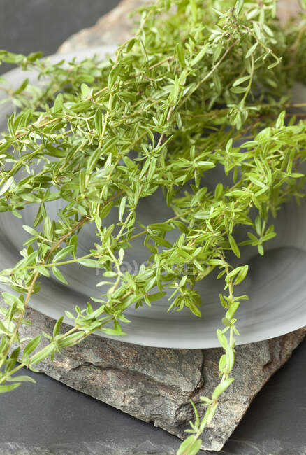 Close-up shot of delicious Fresh summer savory — Stock Photo
