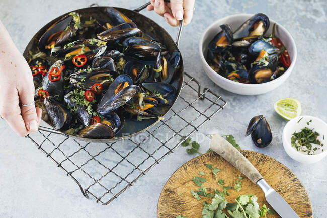 Asian mussels with chili, lime and cilantro — Stock Photo