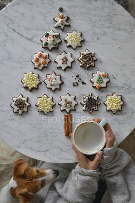 Gingerbreads cookies on the table — Stock Photo