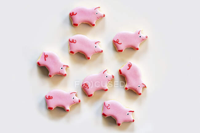 Pink piggy cookies, top view — Stock Photo
