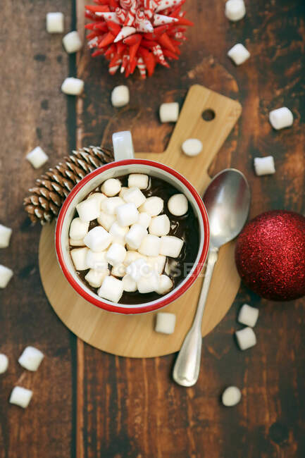 Hot chocolate with marshmallow — Stock Photo