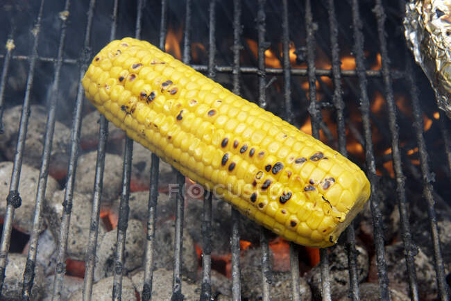Épis de maïs sucré sur le barbecue — Photo de stock