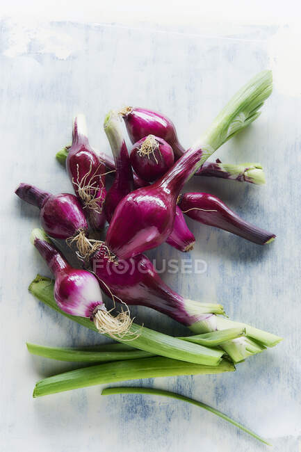 Fresh vegetables on a white background — Stock Photo