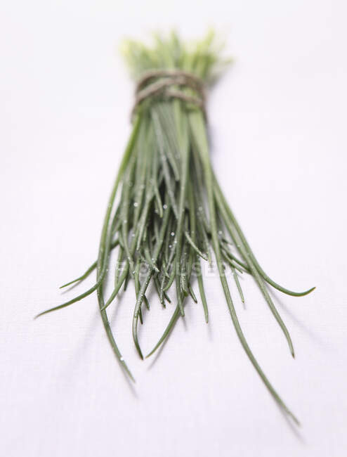 A bunch of chives on a white background — Stock Photo