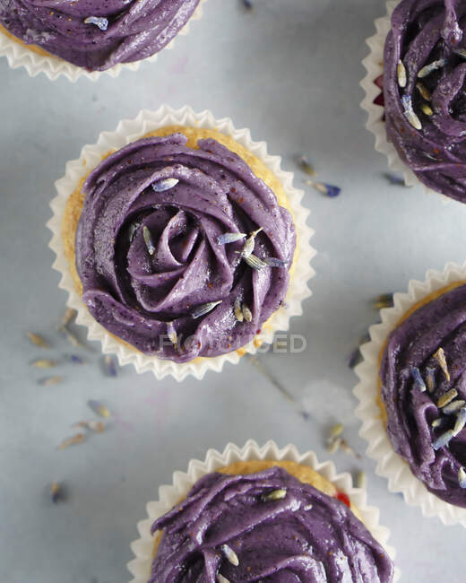 Cupcakes with blueberry frosting — Stock Photo