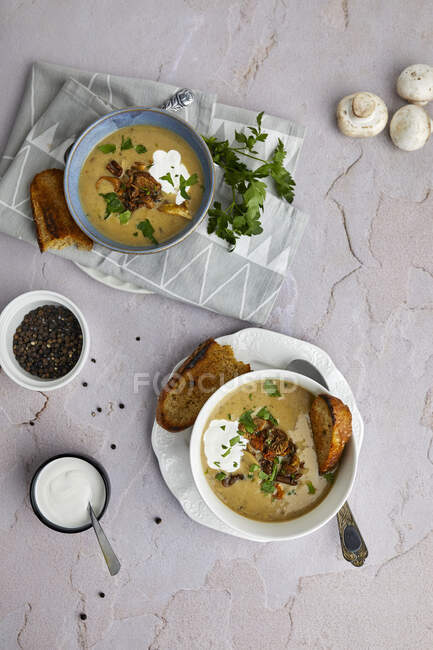 Sopa de champiñones cremosa con pan horneado y perejil fresco - foto de stock