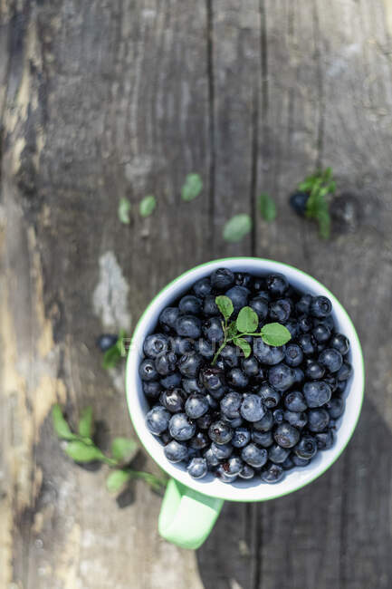 Wild blueberries in cup on wooden background — Stock Photo