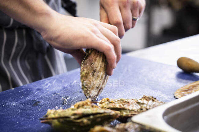 Preparing scallops, closeup shot — Stock Photo