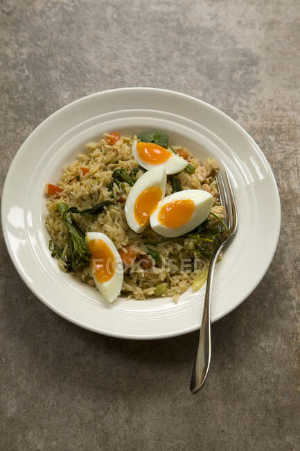 Canned salmon kedgeree with eggs - foto de stock