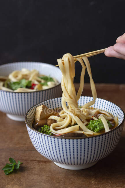 Asiatische Suppe mit Nudeln, Pilzen und Tofu — Stockfoto