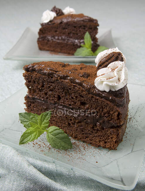 Chocolate cream cake with cream and peppermint — Stock Photo