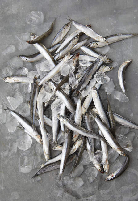 Primer plano de sardinas crudas sobre gris - foto de stock