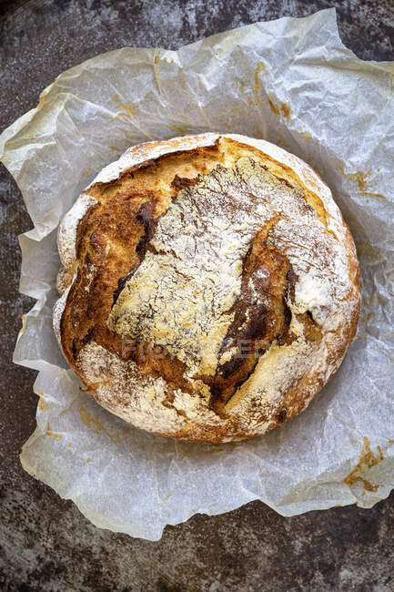 Крупный план вкусного хлеба без месива на бумаге — стоковое фото