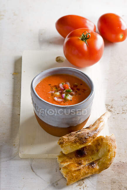Cold gazpacho soup, closeup — Stock Photo