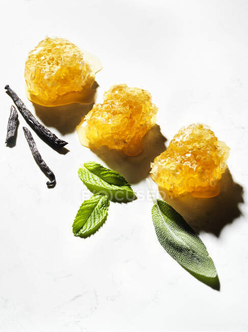 Honey comb pieces with vanilla, mint and sage — Stock Photo