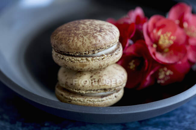 Macarons and flowers in bowl, close up — Stock Photo