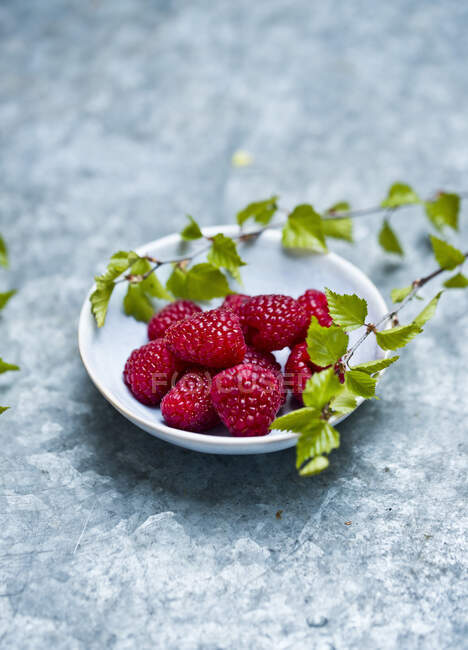 Close-up shot of delicious Raspberries — Stock Photo
