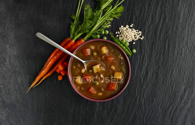 Carne de res gruesa y sopa de verduras - foto de stock