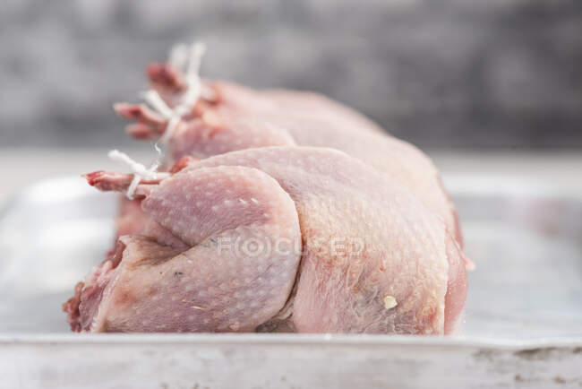 Pollos crudos frescos, primer plano - foto de stock