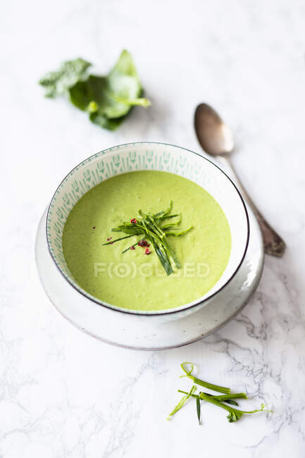 Zuppa di crema di spinaci vegan con tofu di seta — Foto stock