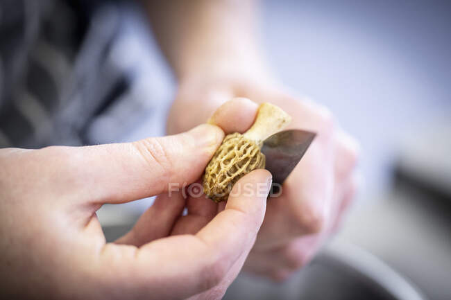 Um cogumelo morel sendo preparado — Fotografia de Stock