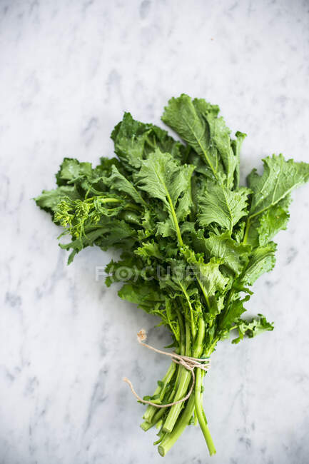 Primer plano de delicioso Broccoletto, agrupado - foto de stock