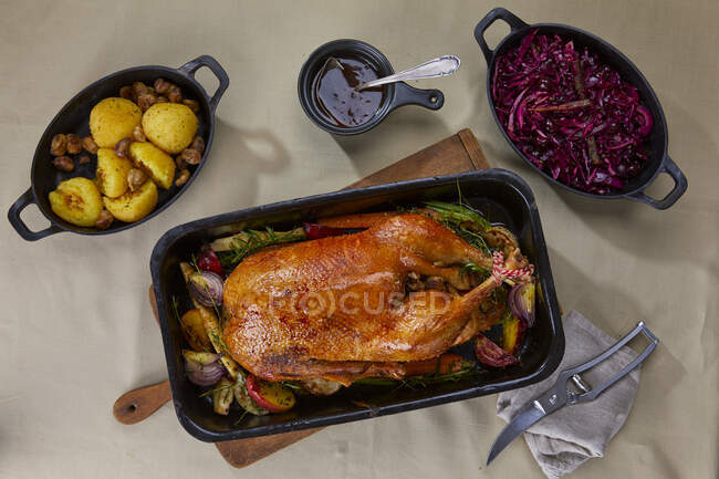 Roast goose with red cabbage and potato dumplings — Stock Photo
