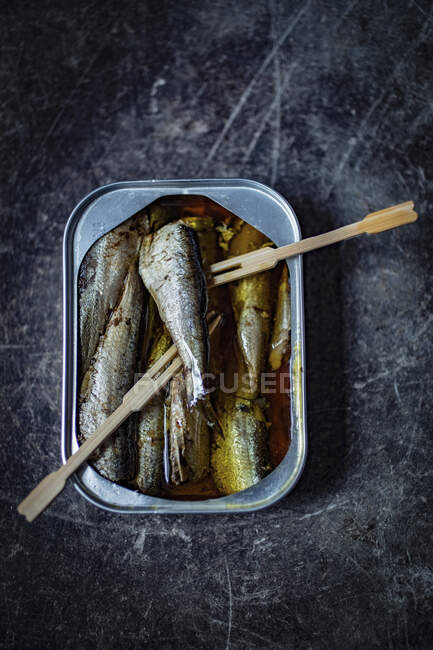 Sardinhas em uma lata com garfos de madeira — Fotografia de Stock