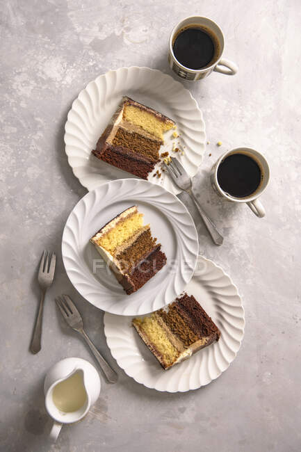Layered chocolate, coffee and vanilla sponge — Stock Photo