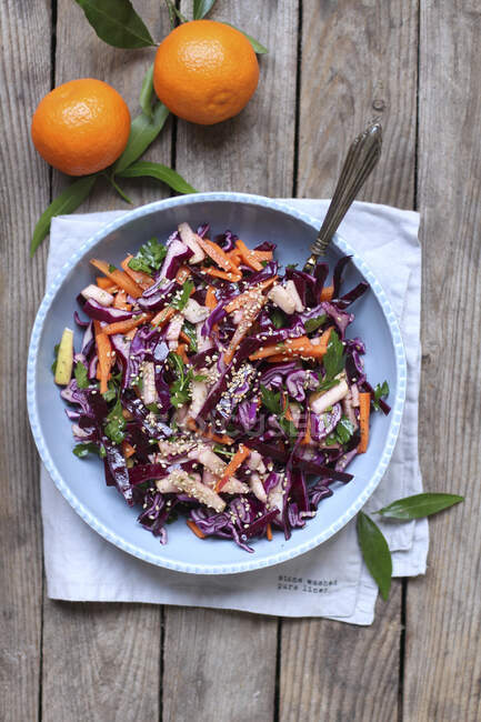 Red cabbage salad with sesame seeds — Stock Photo