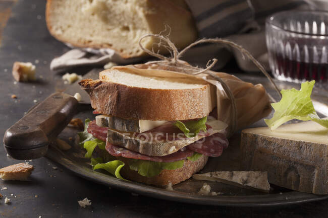A salami and cheese sandwich — Stock Photo