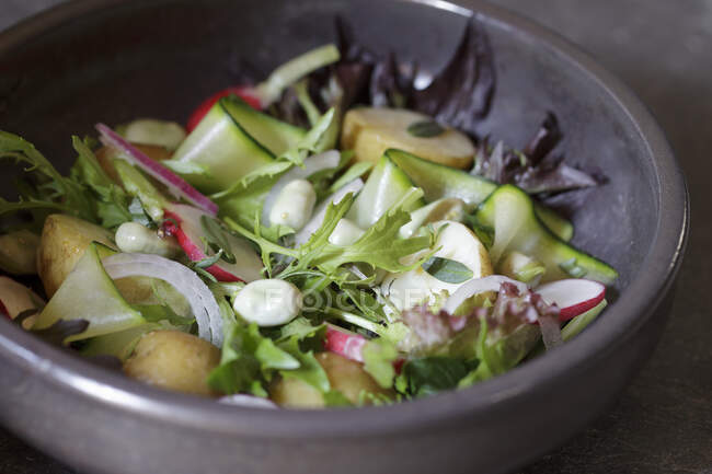 Salada de jardim de verão com batatas, rabanete, feijão largo, aboborinhas e cebola vermelha — Fotografia de Stock