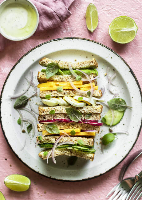 Delicious mexican food, healthy eating, vegetarian lunch, vegan, diet, summer, top view — Stock Photo