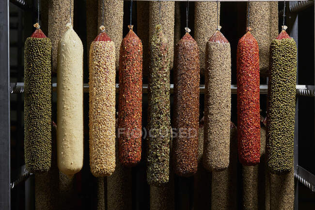 Various salamis hanging in a ripening room — Foto stock