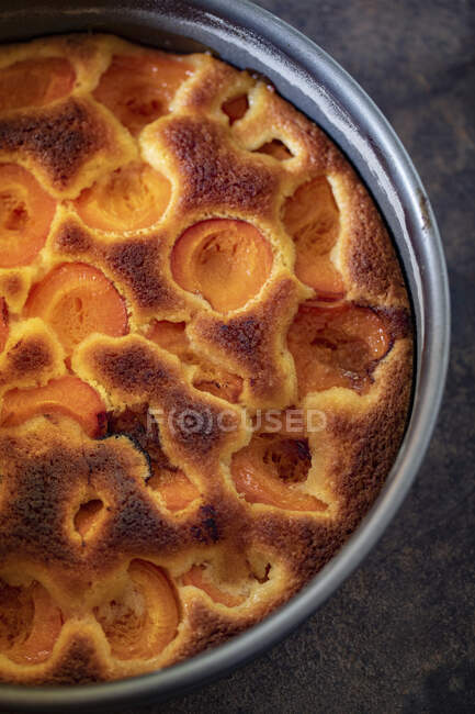Apricot cake in a baking tin — Stock Photo