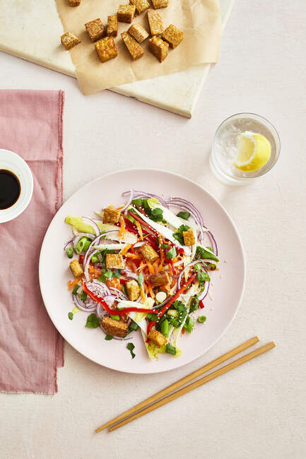Asiático assado tempeh salada com cebola vermelha, coentro, pimenta vermelha, cebolinha e cenoura ralada — Fotografia de Stock