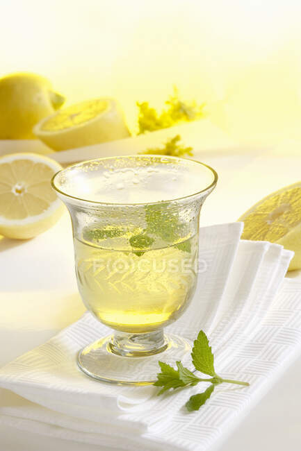 Склянка домашнього лімончелло зі свіжими лимонами на фоні — стокове фото