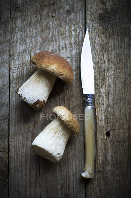 Deux cèpes sauvages sur une planche de bois avec un couteau à fourrage artisanal en corne de Sardaigne — Photo de stock