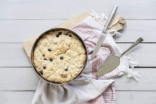 Blueberry crumble cake in baking pan — Stock Photo