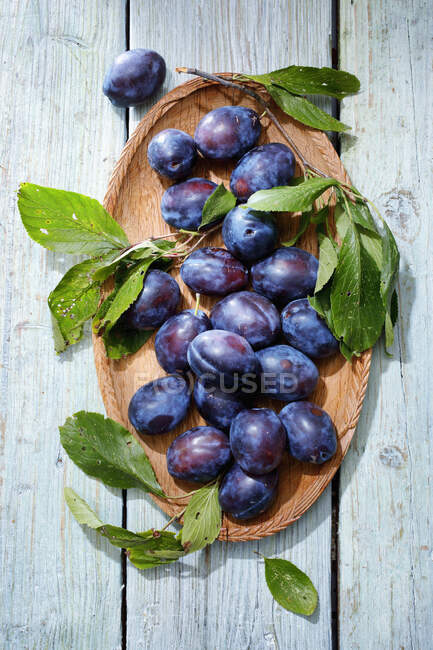 Plan rapproché de délicieuses prunes aux feuilles — Photo de stock